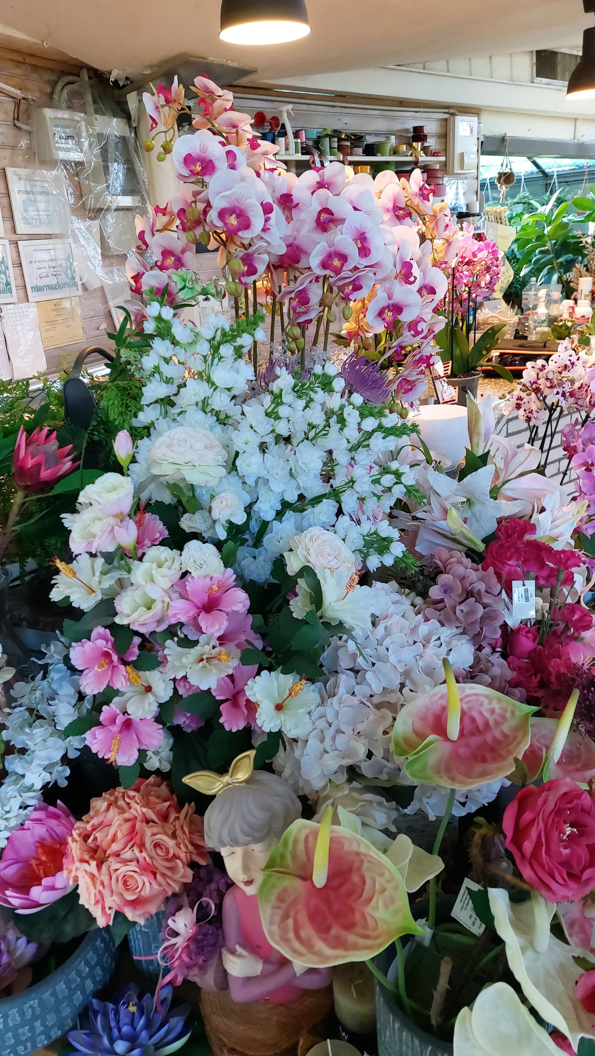 Orchidee e fiori nel vivaio